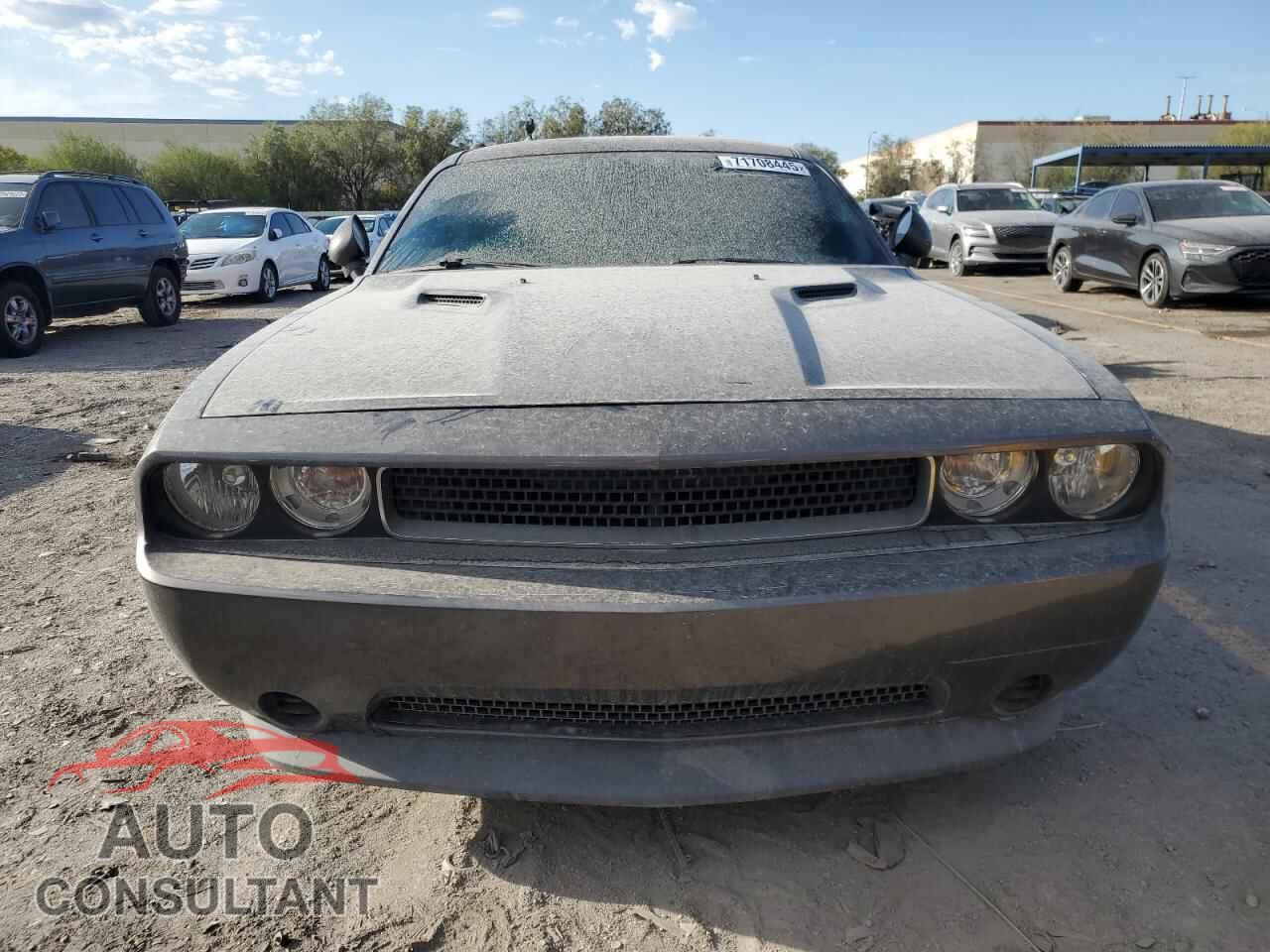 DODGE CHALLENGER 2013 - 2C3CDYAG0DH581906