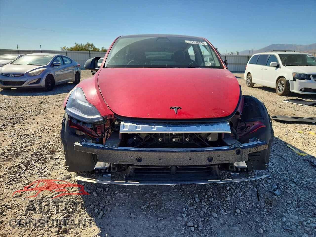 TESLA MODEL Y 2022 - 7SAYGDEF2NF448142