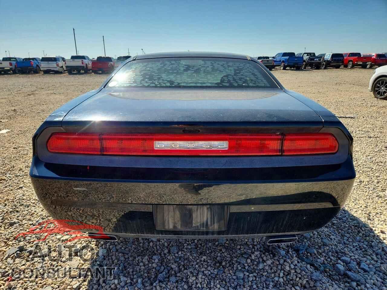 DODGE CHALLENGER 2013 - 2C3CDYAG7DH519645