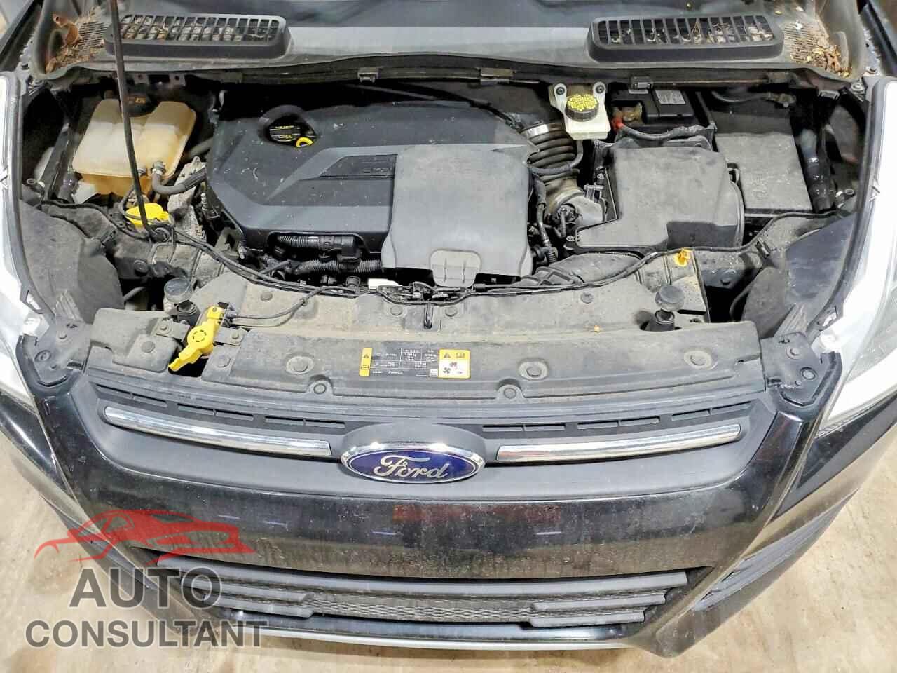FORD ESCAPE 2014 - 1FMCU9GX5EUD81364