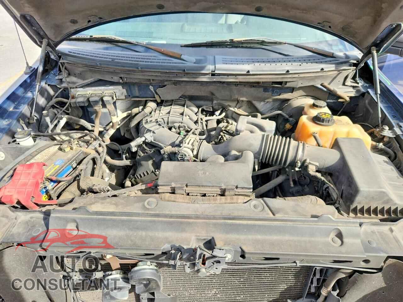 FORD F-150 2011 - 1FTEW1CM2BFA95752