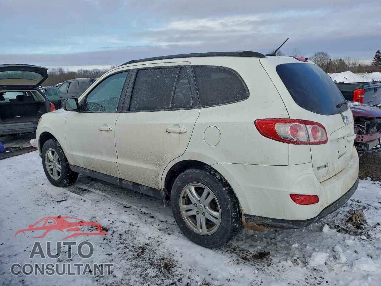 HYUNDAI SANTA FE 2010 - 5NMSGDAB6AH334269