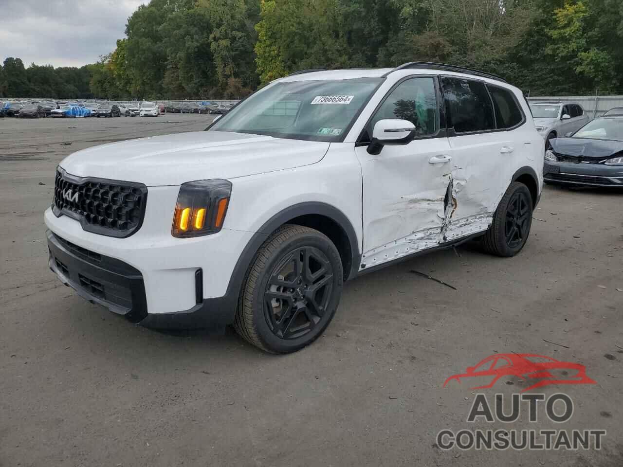 KIA TELLURIDE 2024 - 5XYP3DGCXRG423561