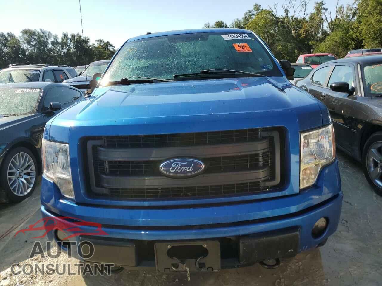 FORD F-150 2013 - 1FTFX1EF2DFD79207