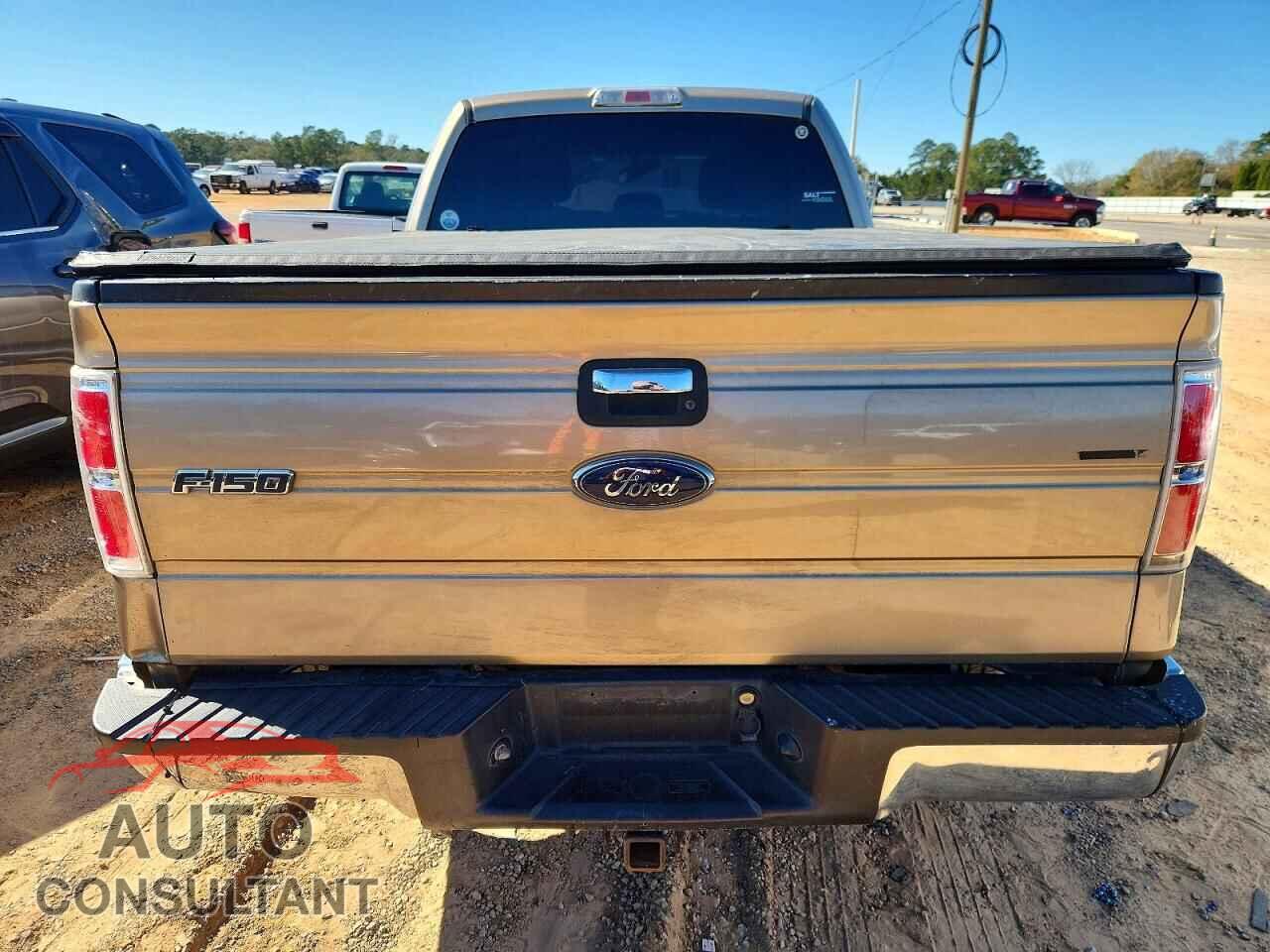 FORD F-150 2013 - 1FTFX1CT5DFD52978