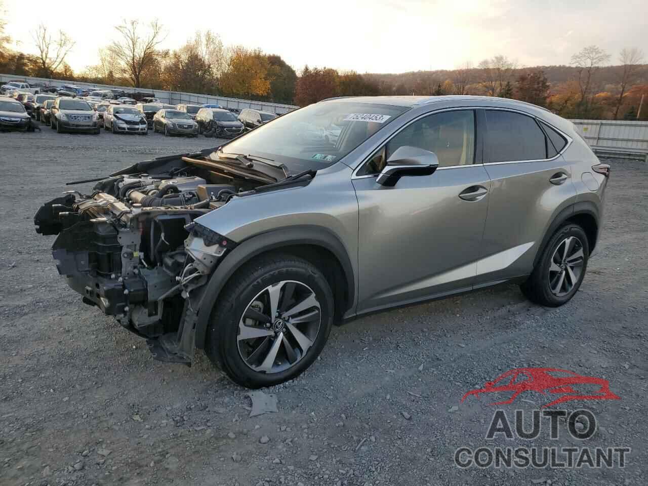 LEXUS NX 2020 - JTJGARDZ0L2223234