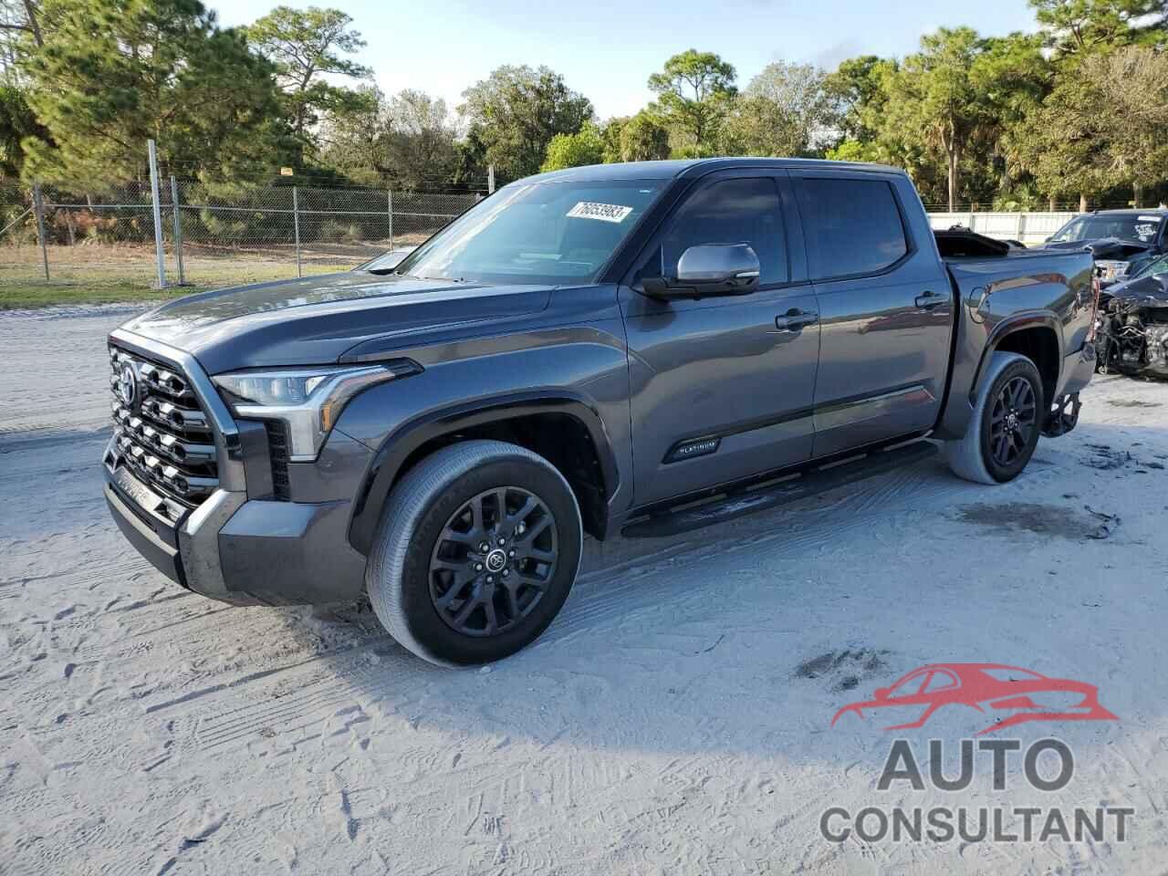 TOYOTA TUNDRA 2022 - 5TFNA5AB6NX006609