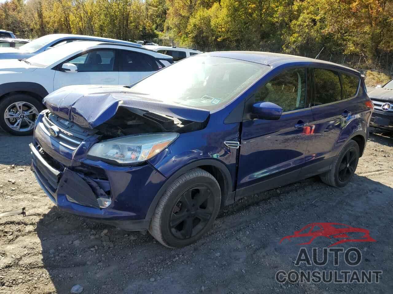 FORD ESCAPE 2016 - 1FMCU9G96GUA31455