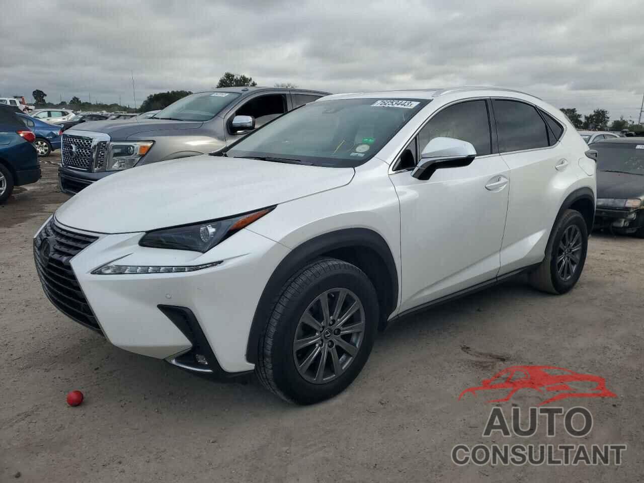 LEXUS NX 2019 - JTJBARBZ6K2181745