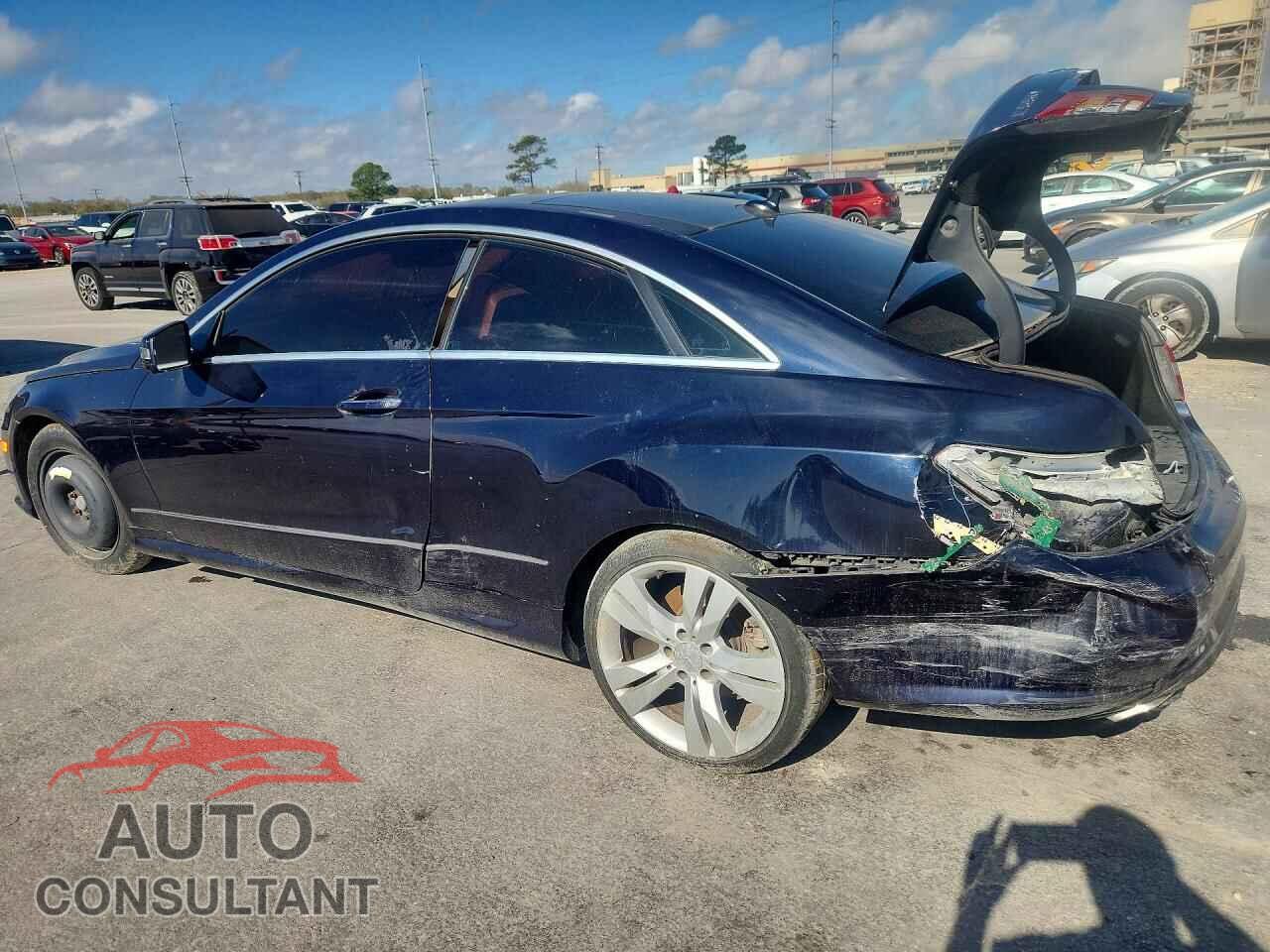 MERCEDES-BENZ E-CLASS 2010 - WDDKJ7CB3AF054070