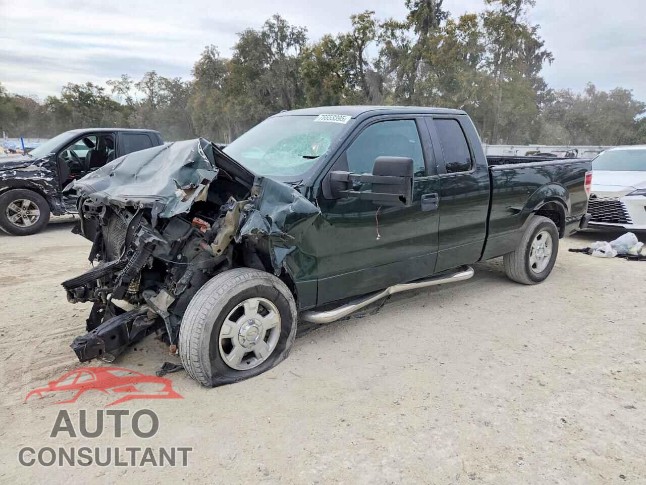 FORD F150 2012 - 1FTFX1CF8CFD04397