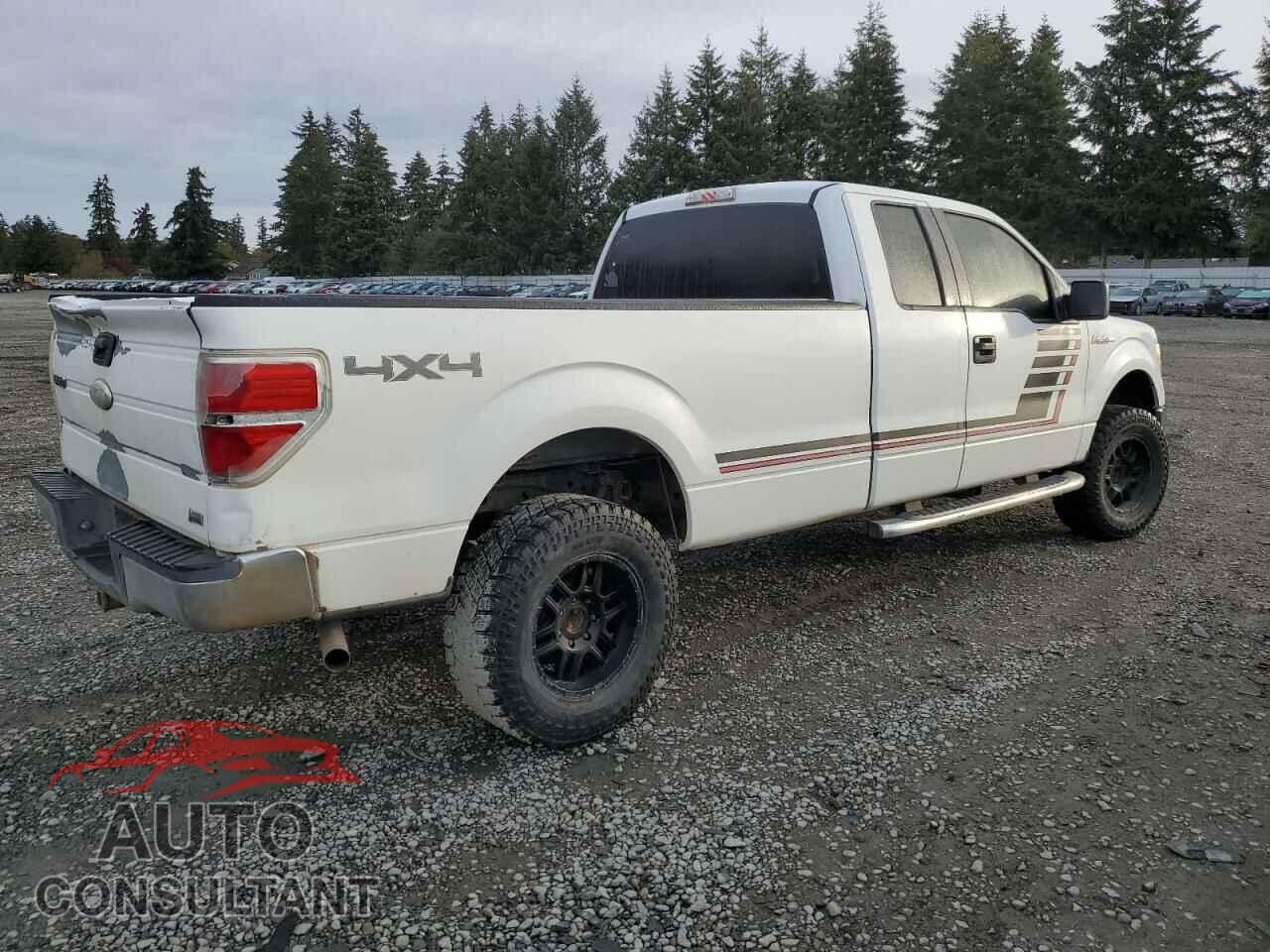 FORD F-150 2010 - 1FTVX1EV6AKE71832