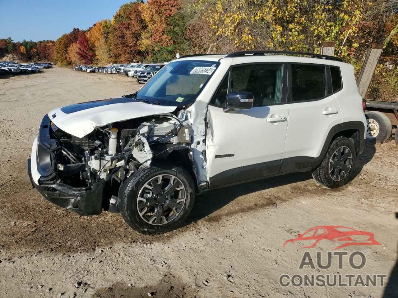 JEEP RENEGADE 2023 - ZACNJDB19PPP69498