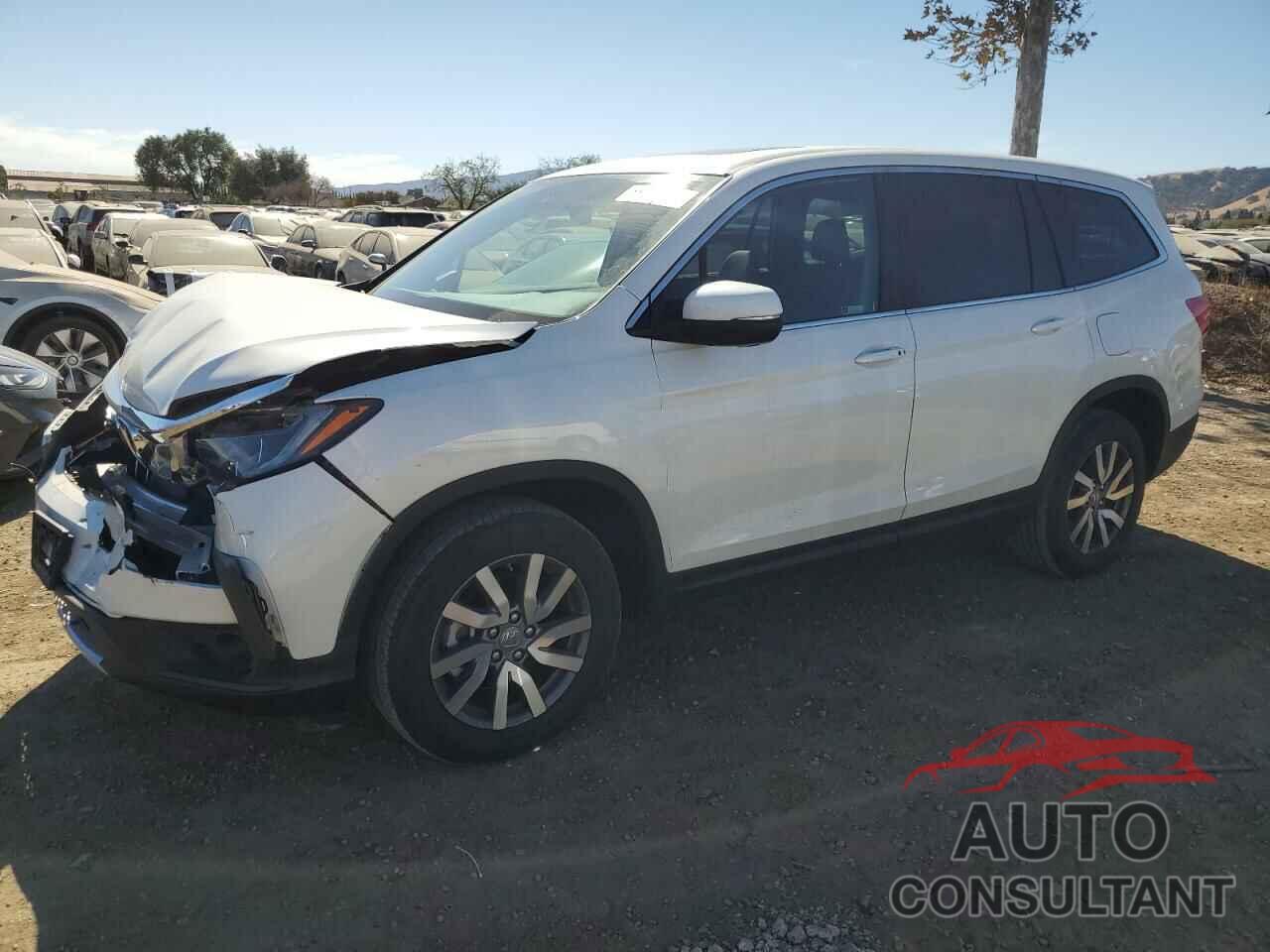 HONDA PILOT 2019 - 5FNYF6H57KB071916