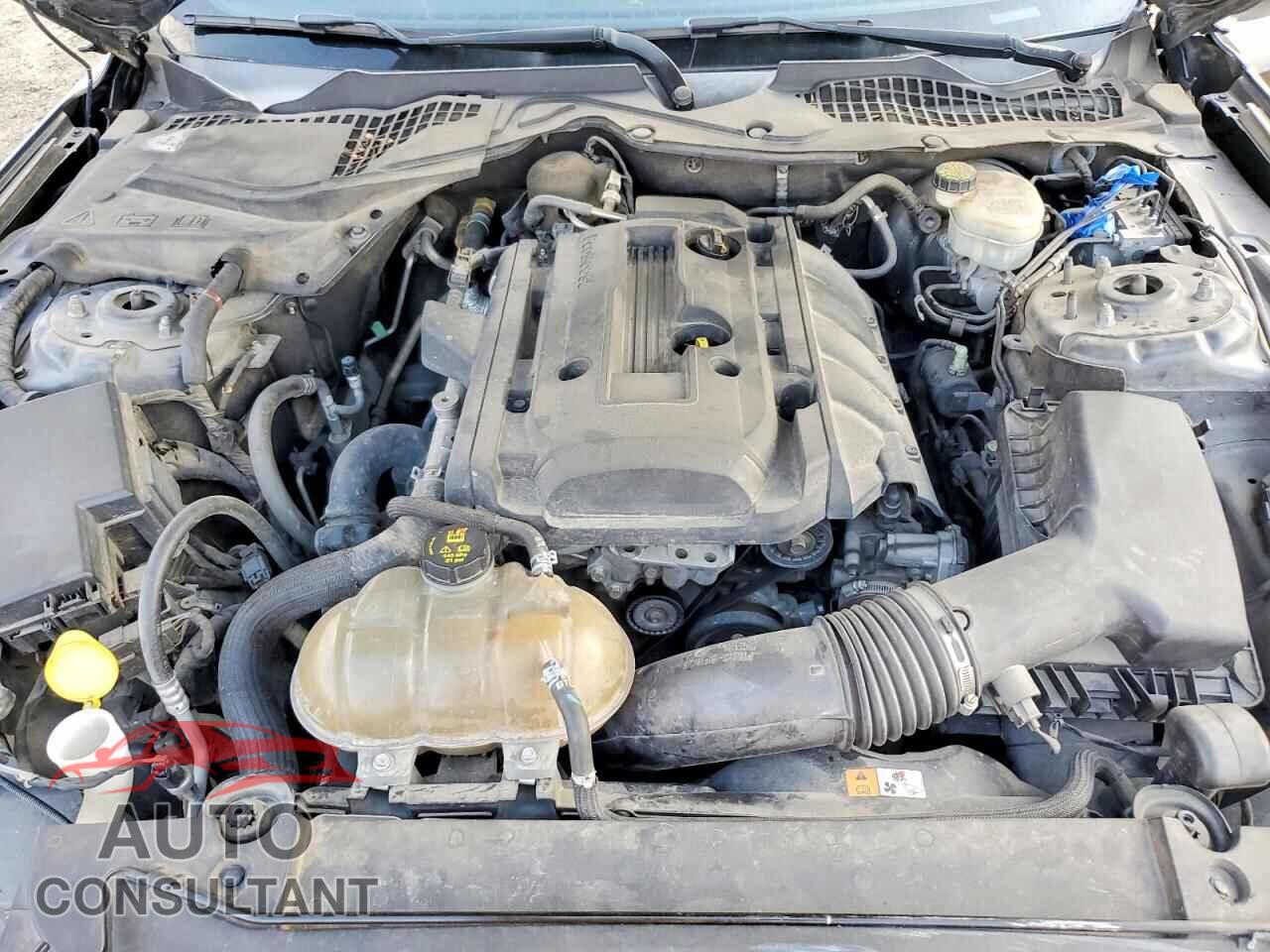 FORD ALL Models 2016 - 1FA6P8TH8G5317243