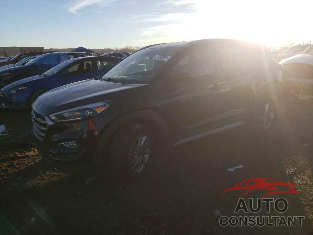 HYUNDAI TUCSON 2017 - KM8J3CA43HU468951