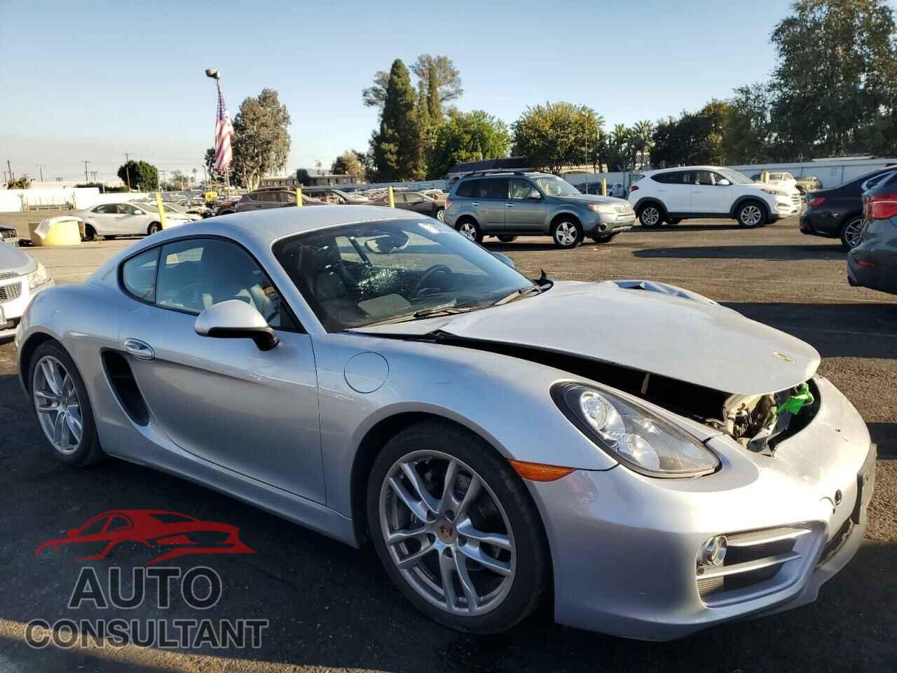 PORSCHE CAYMAN 2014 - WP0AA2A84EK173761