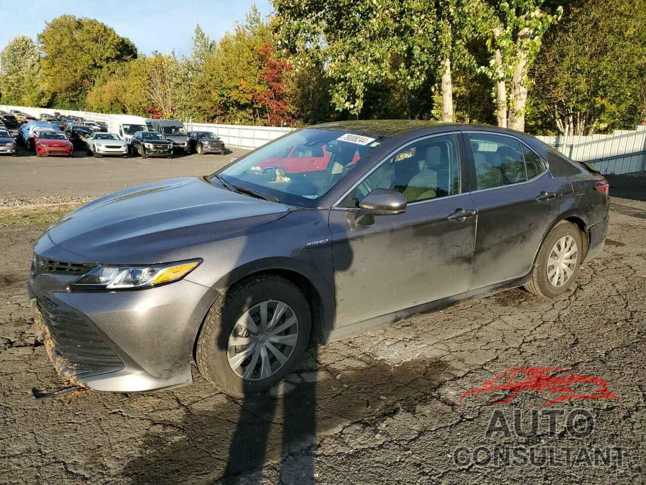 TOYOTA CAMRY 2019 - 4T1B31HK0KU515499