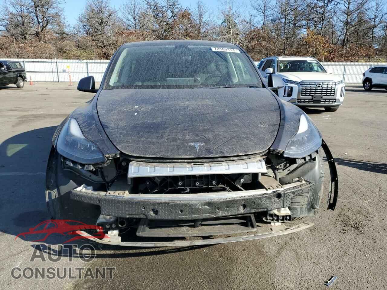 TESLA MODEL Y 2022 - 7SAYGDEF5NF338301