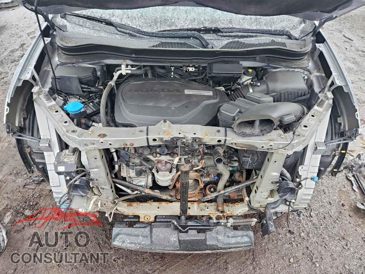 HONDA RIDGELINE 2019 - 5FPYK3F63KB028929