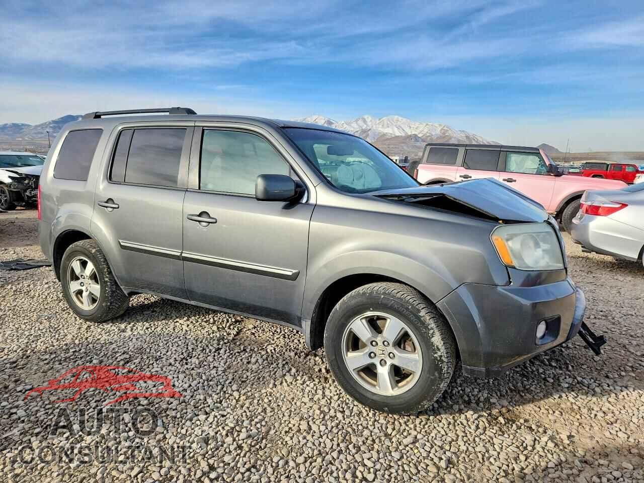 HONDA PILOT 2009 - 5FNYF48679B031911