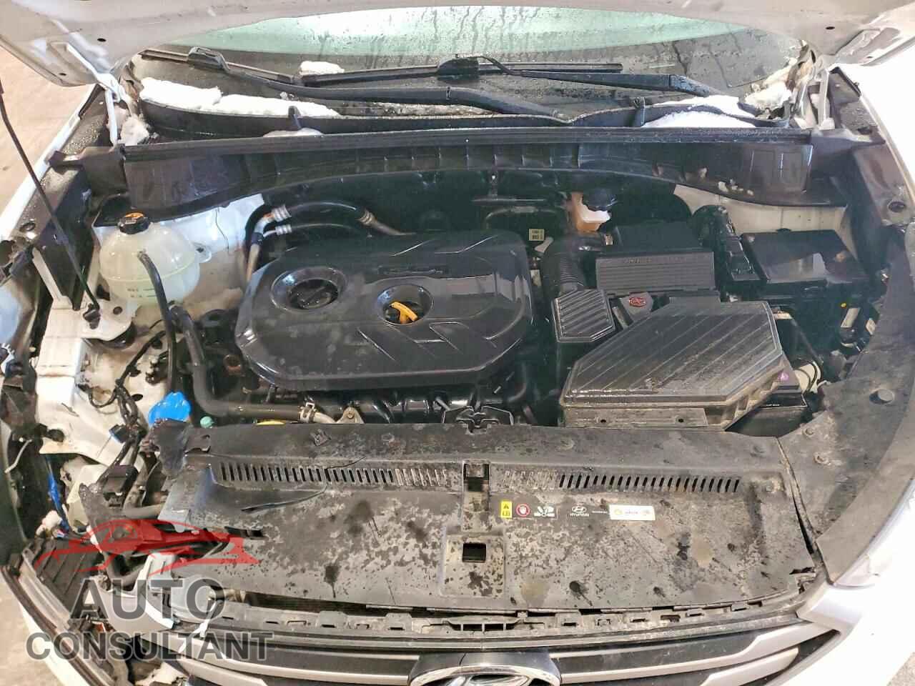 HYUNDAI TUCSON 2017 - KM8J3CA42HU481397