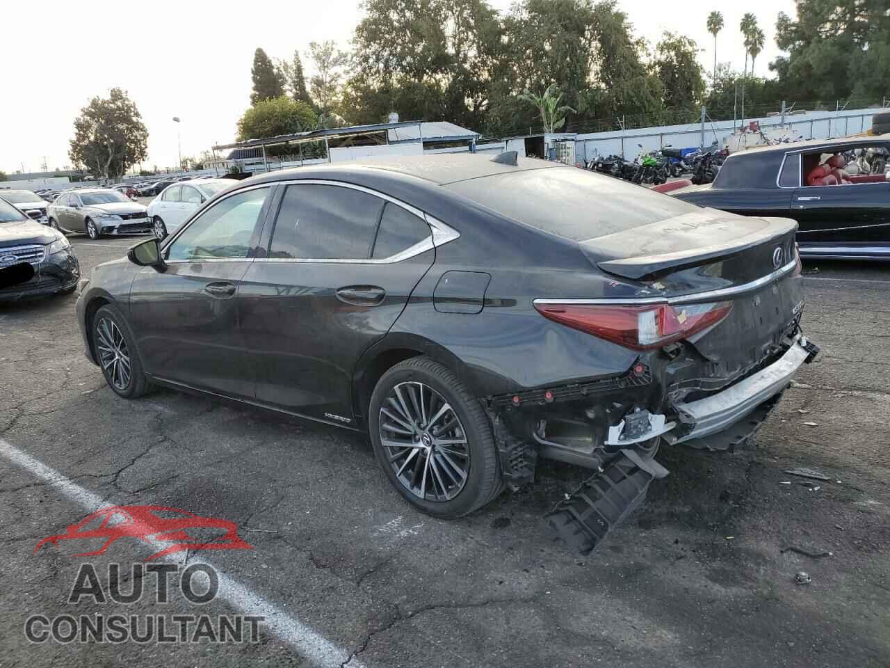 LEXUS ES300 2022 - 58ADA1C19NU023077