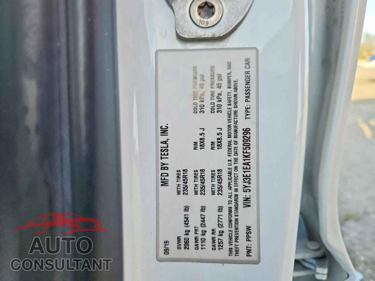 TESLA MODEL 3 2019 - 5YJ3E1EA1KF509296