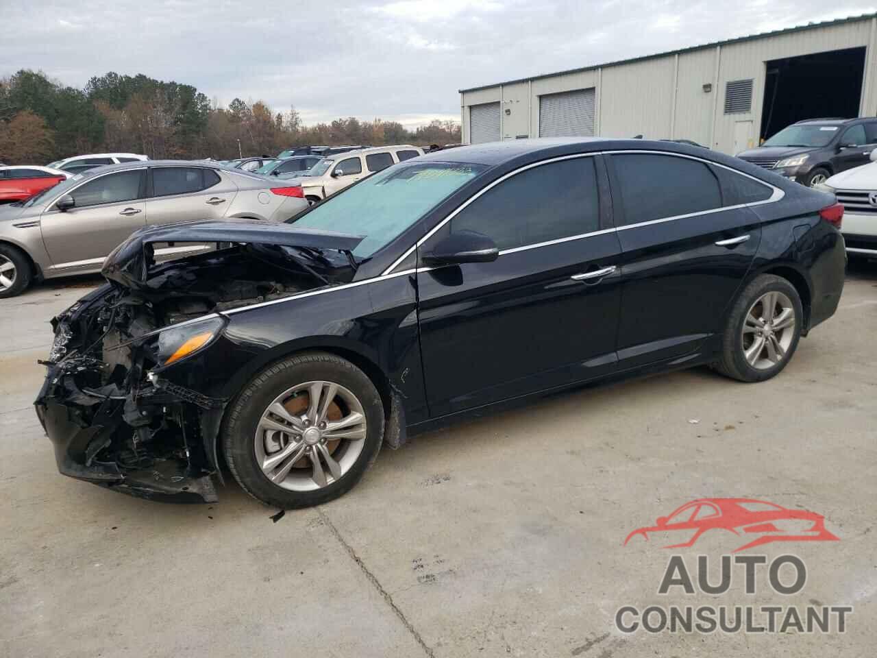 HYUNDAI SONATA 2019 - 5NPE34AF8KH795845