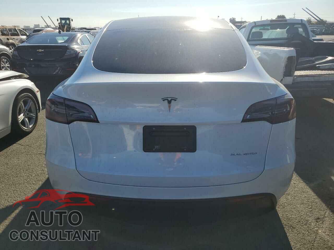 TESLA MODEL Y 2024 - 7SAYGDEE8RF076769