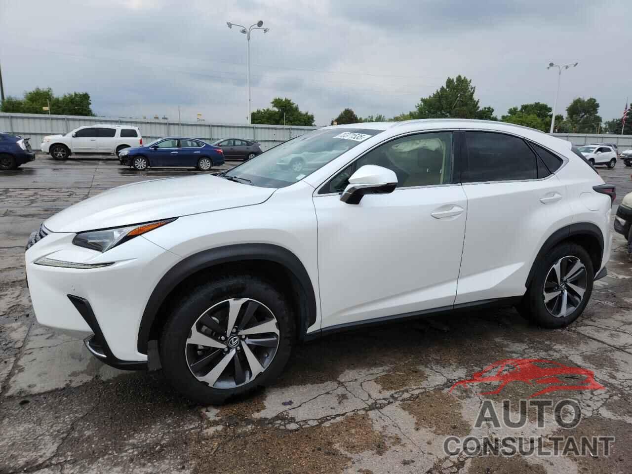 LEXUS NX 2019 - JTJBARBZ8K2202742
