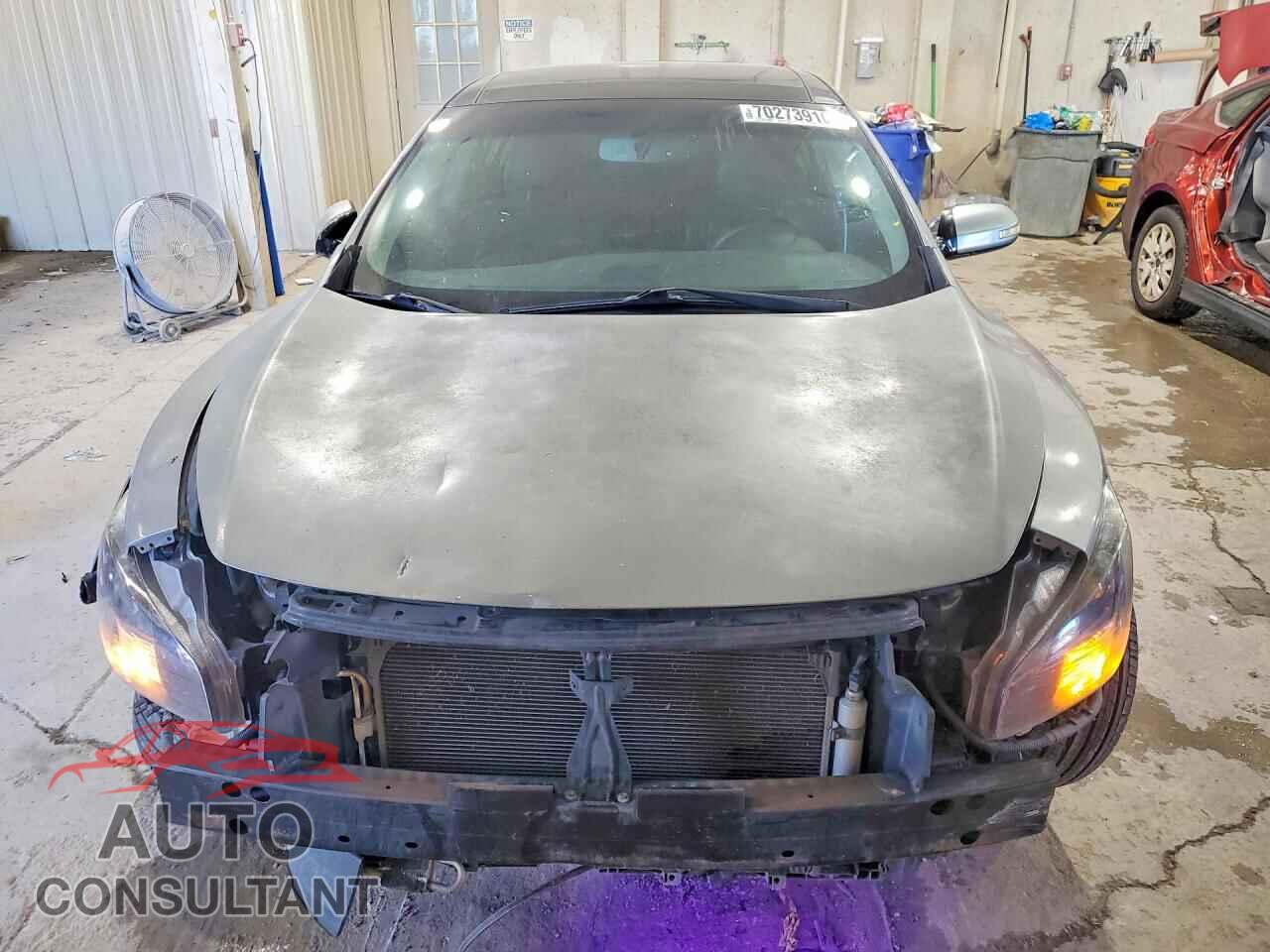 NISSAN MAXIMA 2009 - 1N4AA51E39C852515