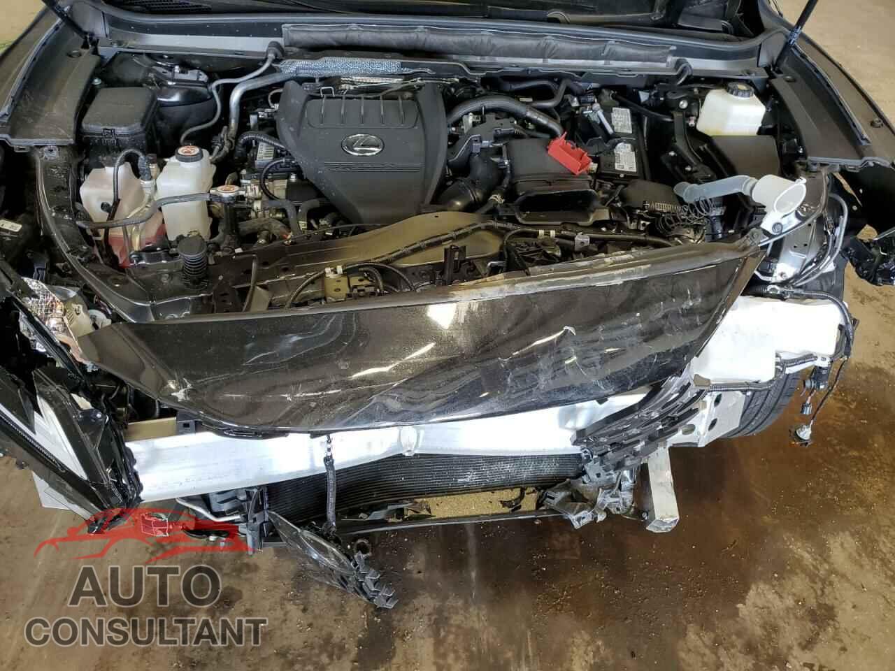 LEXUS RX350 2024 - 2T2BAMCA2RC065643