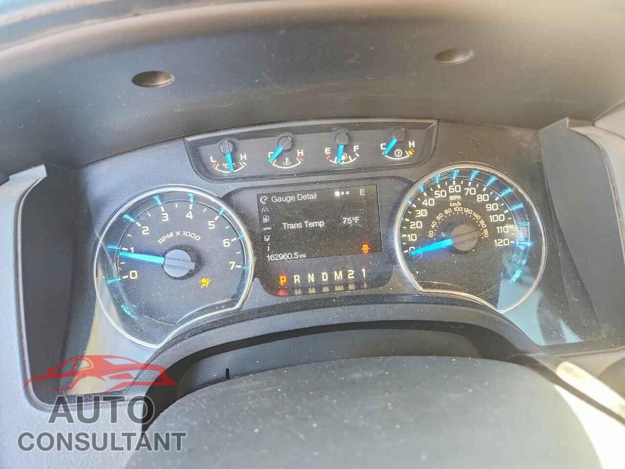 FORD F150 2013 - 1FTEX1EM5DFD38869