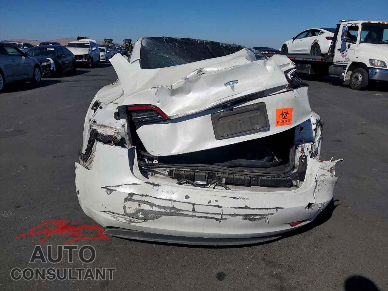 TESLA MODEL 3 2019 - 5YJ3E1EA3KF330998