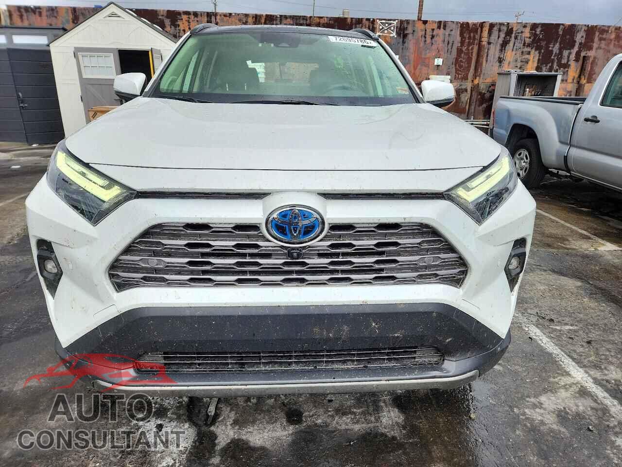 TOYOTA RAV4 2024 - JTMD6RFV7RD144447