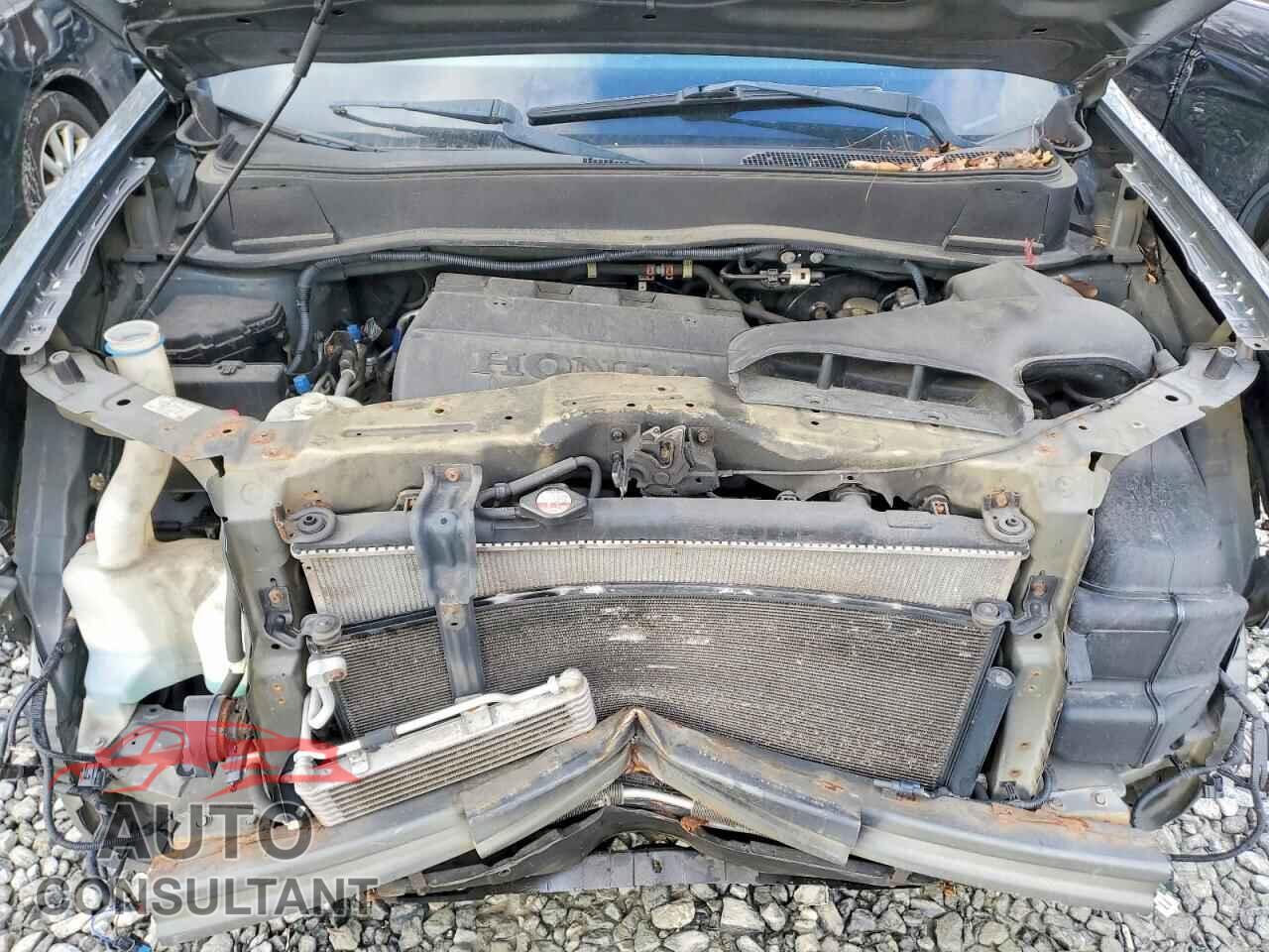 HONDA PILOT 2009 - 5FNYF48699B012003