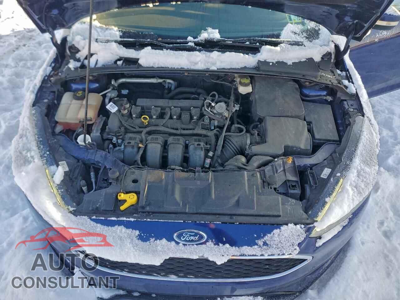 FORD FOCUS 2017 - 1FADP3H21HL227282