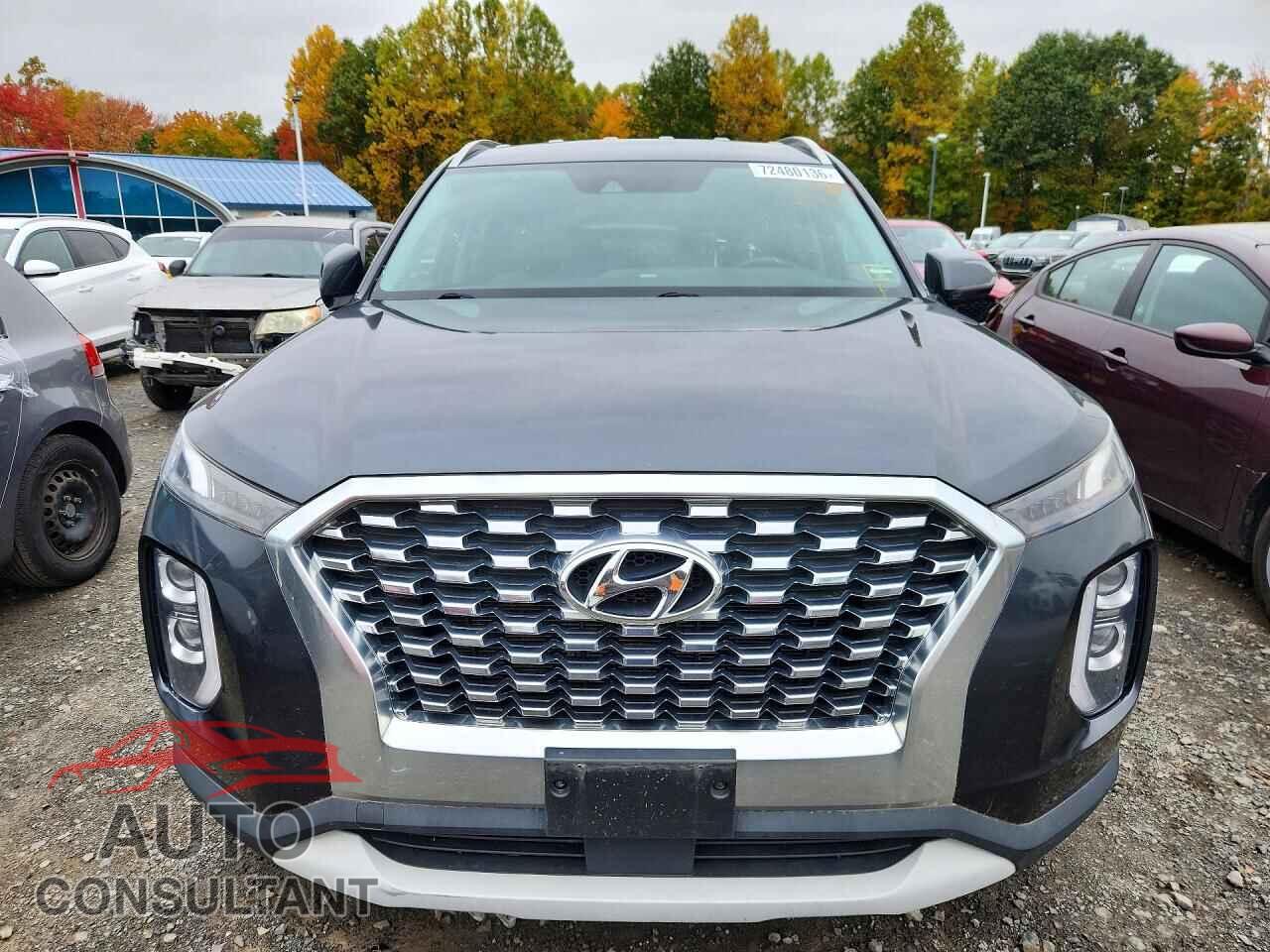 HYUNDAI PALISADE 2020 - KM8R2DHEXLU040328