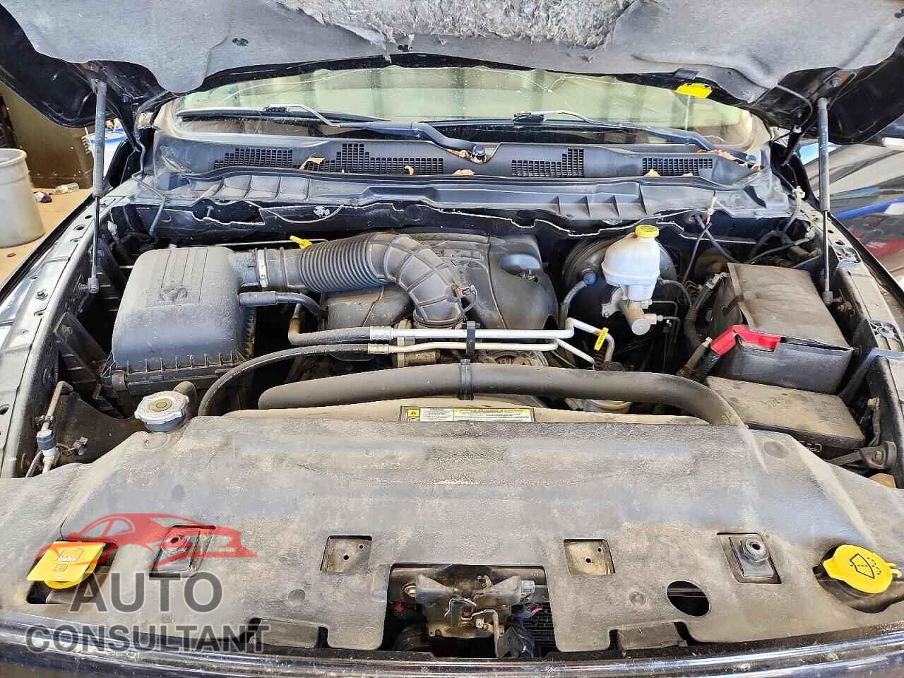DODGE RAM 1500 2010 - 1D7RV1CT7AS210420