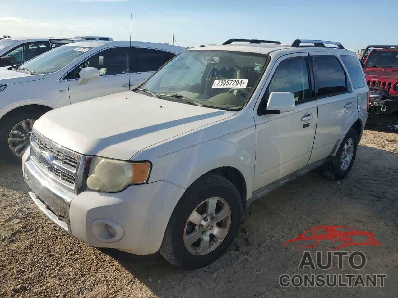 FORD ESCAPE 2010 - 1FMCU0EGXAKA03755