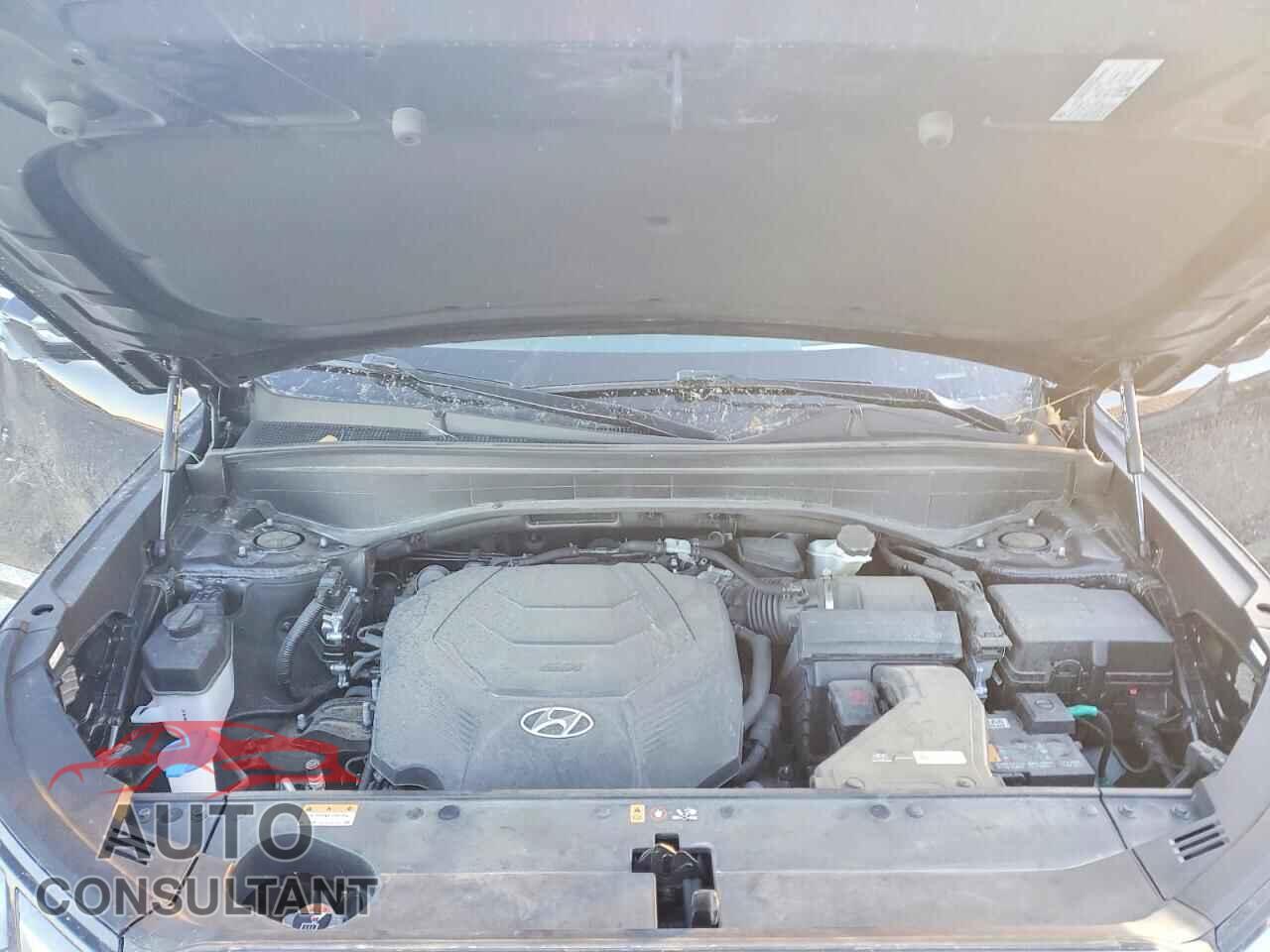 HYUNDAI PALISADE 2024 - KM8R7DGEXRU647678