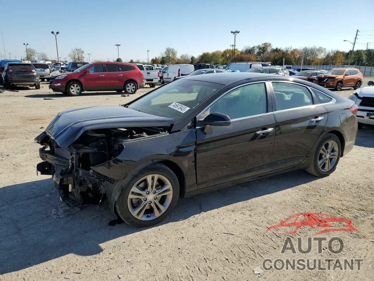 HYUNDAI SONATA 2019 - 5NPE34AF8KH756592