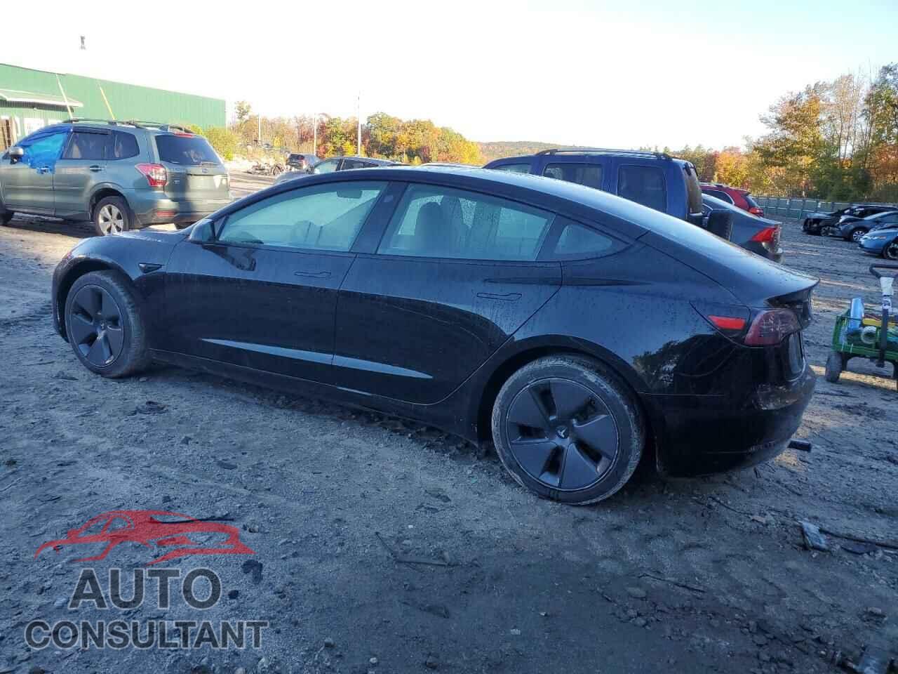 TESLA MODEL 3 2021 - 5YJ3E1EB5MF960579