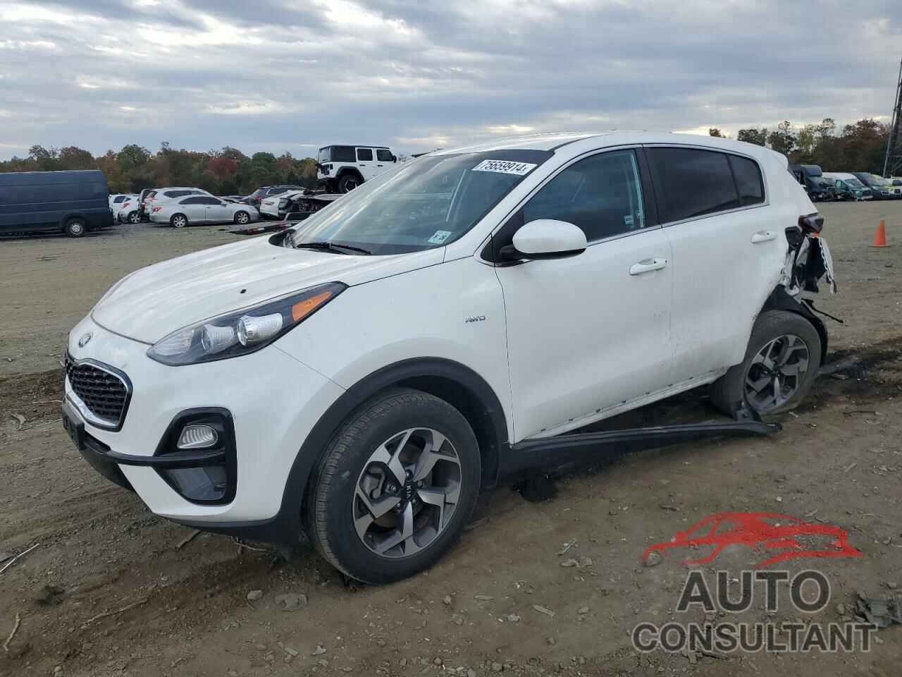 KIA SPORTAGE 2022 - KNDPMCAC2N7995506