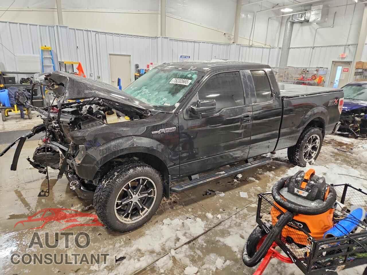 FORD F150 2014 - 1FTFX1EF7EFA92754