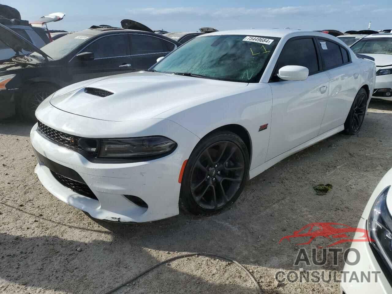 DODGE CHARGER 2020 - 2C3CDXGJ6LH101153