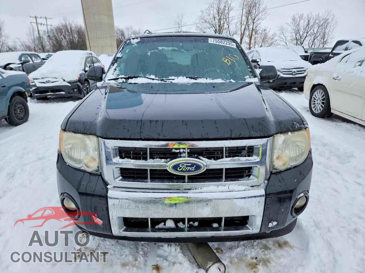 FORD ESCAPE 2010 - 1FMCU9EG6AKD13423