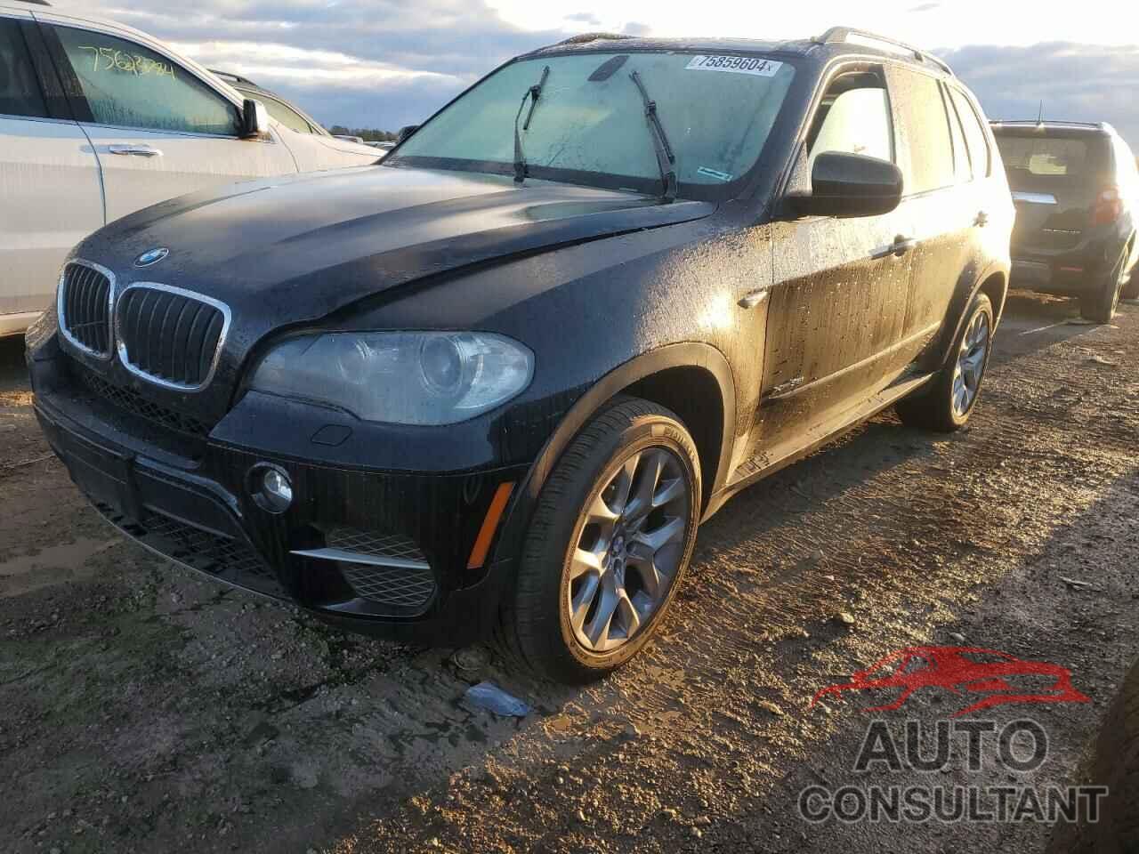 BMW X5 2011 - 5UXZV4C50BL740039