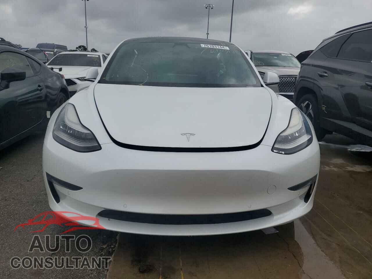 TESLA MODEL 3 2019 - 5YJ3E1EB3KF408415